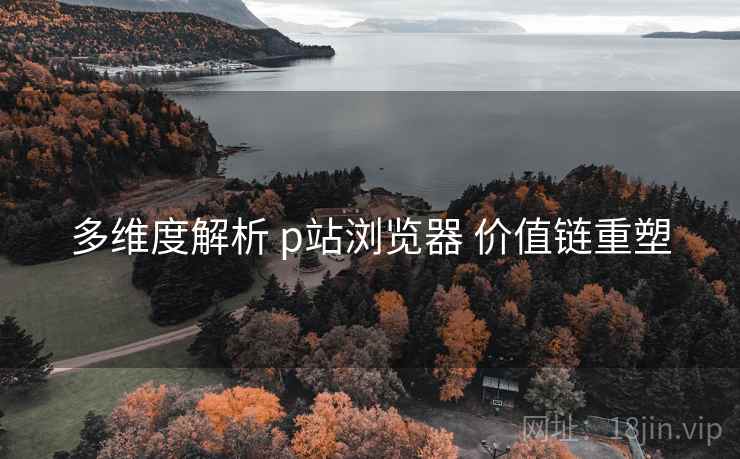 多维度解析 p站浏览器 价值链重塑