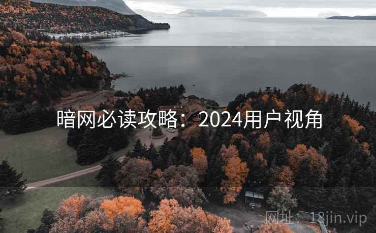 暗网必读攻略:2024用户视角