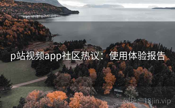 p站视频app社区热议:使用体验报告