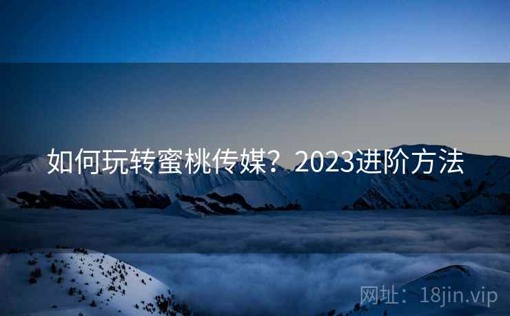 如何玩转蜜桃传媒?2023进阶方法