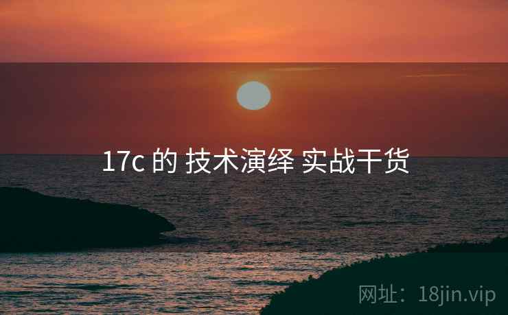 17c 的 技术演绎 实战干货