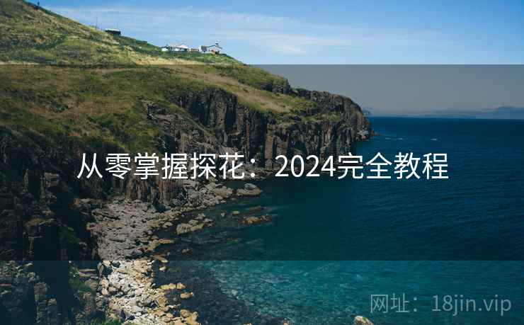 从零掌握探花:2024完全教程