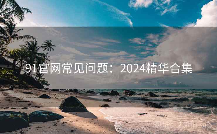 91官网常见问题:2024精华合集