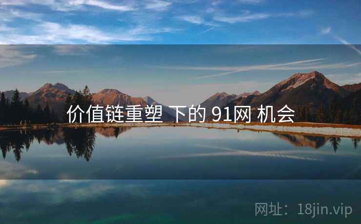 价值链重塑 下的 91网 机会